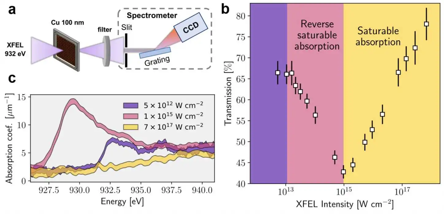 Analyzing Results from European XFEL Experiments